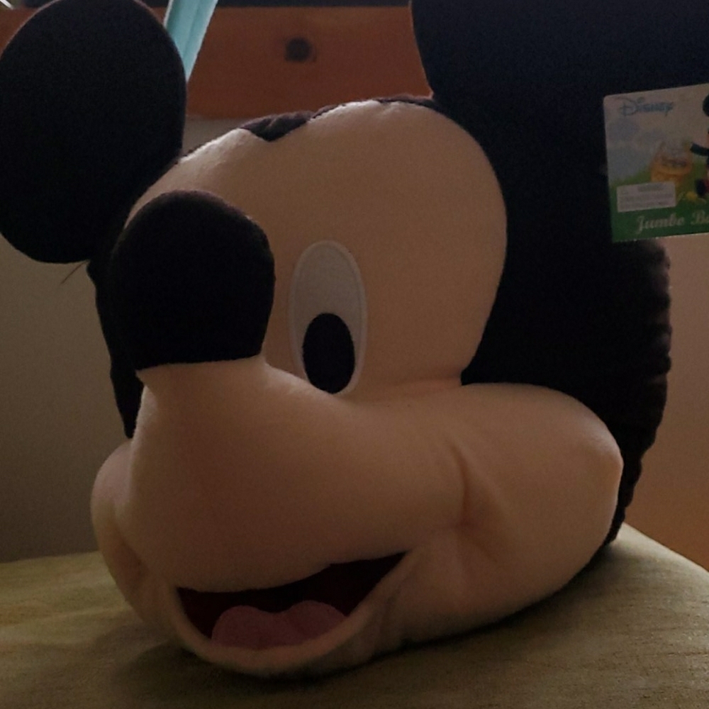 Collectors disney